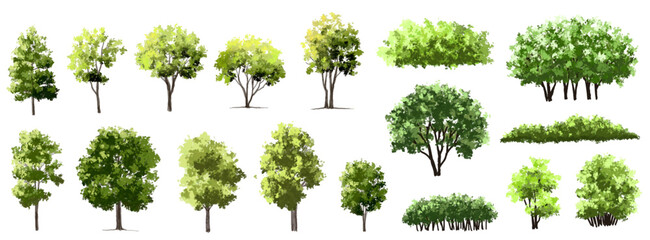 Vertor set of green tree,plants side view for landscape elevations,element for backdrop,eco environment concept design,watercolor greenery scene,shrub © Wattanapong