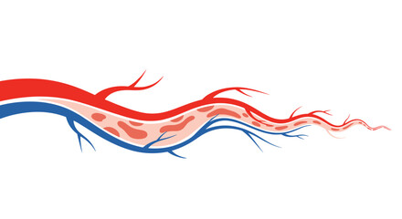 Abstract illustration depicting human veins and arteries, showcasing the intricate network of blood vessels and circulating red blood cells.