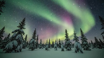 Magical aurora borealis dances across a starry winter night sky over snow-covered trees - Powered by Adobe