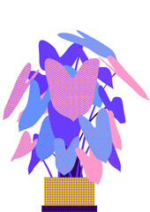 vector illustration of a tropical plant