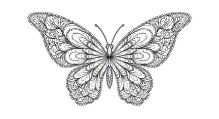 Intricate Black and White Butterfly Illustration with Detailed Wing Patterns.