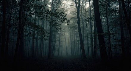 Obraz premium Mysterious Foggy Forest with Dark Trees and Ethereal Light, Nature Background