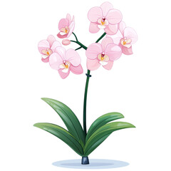 Obraz premium Pink orchid flower with green leaves in pot, elegant and delicate petals with smooth edges, perfect for decoration or gift ideas