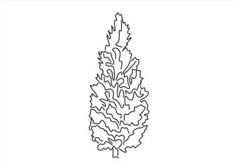 Obraz premium tree line icon vector .tree sign. isolated contour symbol black illustration. line drawing. Editable stroke. 