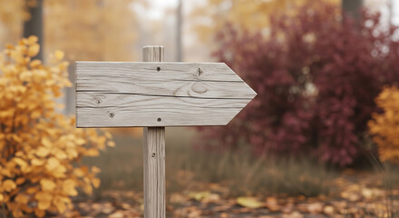 Wooden directional signpost in a foggy autumn forest with colorful foliage and fallen leaves