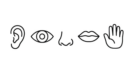 Five senses icon set sensory perception outline vector design