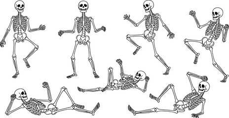 Collection of dancing skeleton illustrations showing funny poses, playful human bones, cartoon anatomy figures, Halloween themed artwork and humorous skeletal characters