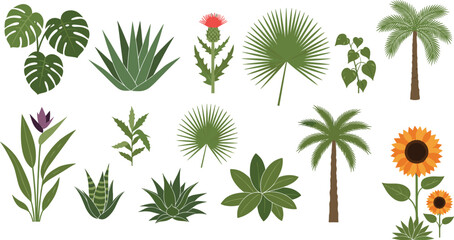 Collection of tropical plant illustrations featuring palm trees, leafy foliage, succulents, flowers, and exotic greenery for botanical design and nature graphics © Bappi Creatives