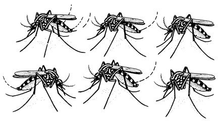 set of 6 mosquito pointillism, clear dots, black and white