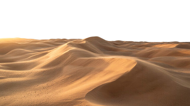 Golden Sand Dunes in Desert Landscape on White Background - Stock Photo