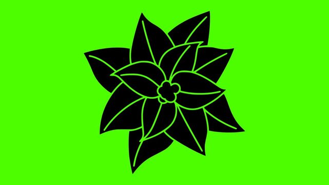 poinsettia illustration green silhouette screen logo video icon decoration outline winter flower christmas holiday red design green plant floral shape for vector graphic background
