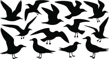 Seagull silhouette, flying bird icons, coastal bird shapes, black bird design, nature symbol, wildlife illustration, decorative animal graphic, sea bird art