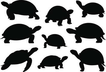 Tortoise silhouette, reptile pose collection, black animal icons, slow motion design, shell shape artwork, wildlife graphic, nature illustration