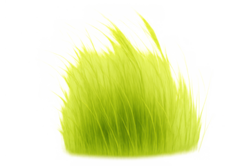 Green grass tuft illustration with transparent background, fresh spring vegetation blowing in wind for nature concept