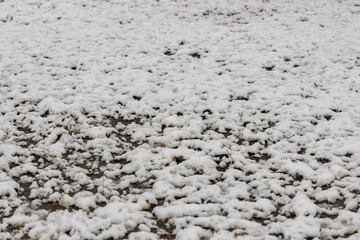A field lightly covered with fresh snow, showing subtle texture and uneven distribution. Quiet winter day