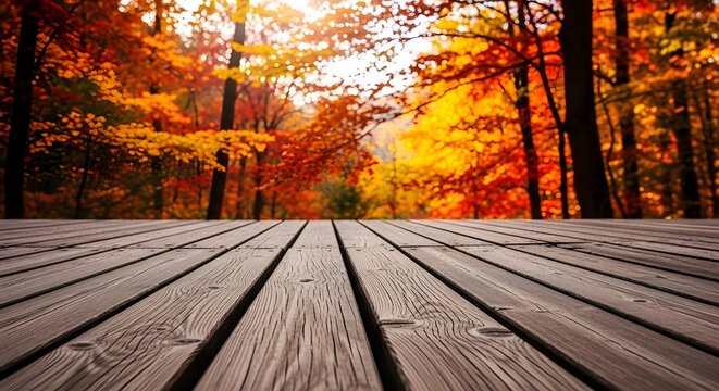Wooden deck in the foreground with a vibrant autumn forest pathway bathed in warm golden sunlight creating a beautiful seasonal scene - Powered by Adobe
