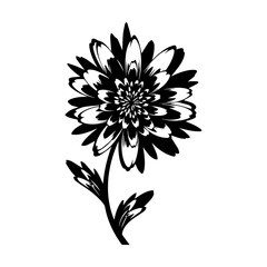 Elegant Black and White Floral Illustration Perfect for Design and Decoration