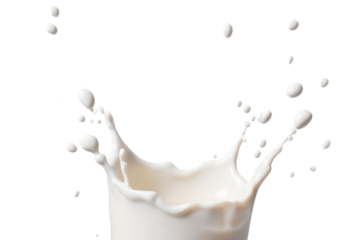 milk splash isolated on white