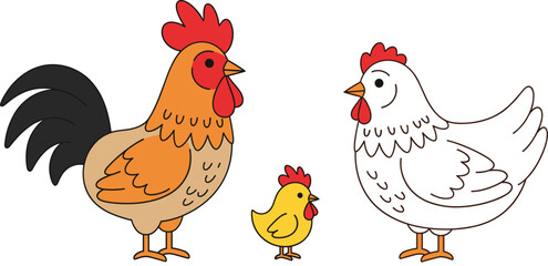 Cute Cartoon Chicken Family Vector Illustration Set, Featuring Rooster, Hen, and Chick Standing Together on a Farm, Representing Poultry and Domestic Birds