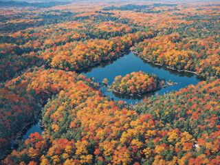 Autumn Forest Canopy Surrounding a Secluded Lake
