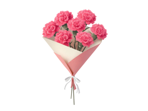 A bouquet of pink carnations is wrapped in a white paper