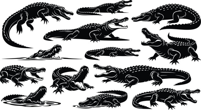 A collection of stylized black and white alligator illustrations in various poses and perspectives