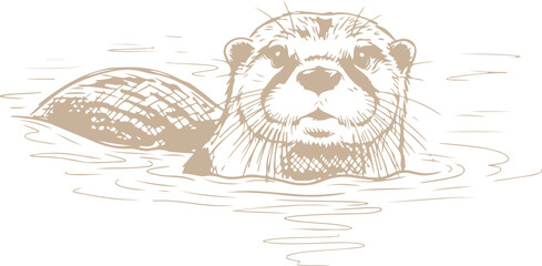Charming otter illustration floating in water with detailed sketch lines vector illustration