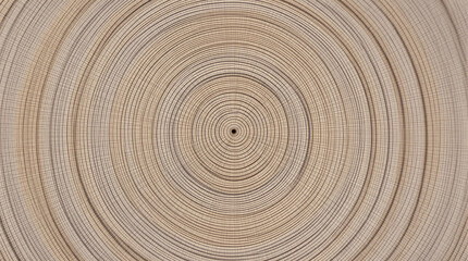Fototapeta premium Concentric growth rings of a tree trunk showing a detailed natural pattern.