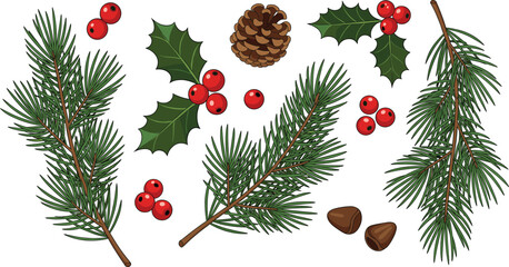 Christmas Winter Holiday Elements Vector Collection with Pine Branches, Holly Berries, and Pine Cone, Excellent for Festive Decoration and Greeting Cards.