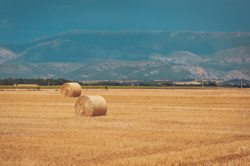 Rolling hay bales on golden fields under a blue sky with mountains in the background during a sunny afternoon © Cristina