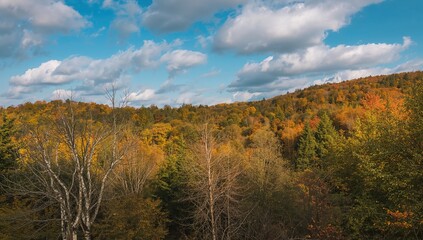Fototapeta premium Autumn landscape in Moravian hills, showcasing seasonal change