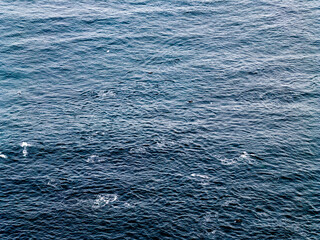 Aerial view of common dolphins feeding above huge dragnet in Donegal Bay, Ireland