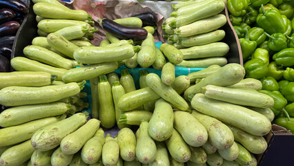 Fresh Vegetables Displayed at a Market Highlighting Green Zucchinis, Eggplants, and Bell Peppers During the Afternoon