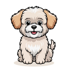 Cute furry pet white Maltese Shih Tzu puppy baby dog animal portrait sitting on an isolated white background, dog, puppy, adorable, sitting, domestic, animal, pet.
