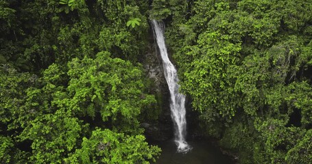Fiji, Nadi Waterfall: pristine waterfall cascading through a dense, vibrant green rainforest canopy, breathtaking aerial perspective showcasing the untouched beauty of nature. Drone flight footage - Powered by Adobe