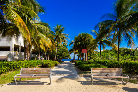 Pompano Beach entrance pathway with wood benches and palms