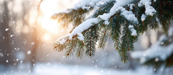 Tranquil winter forest scene with snowflakes and pine tree branches at sunset