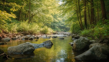 Summer Days by the Creek, a tranquil setting with natural light and lush foliage, seasonal change
