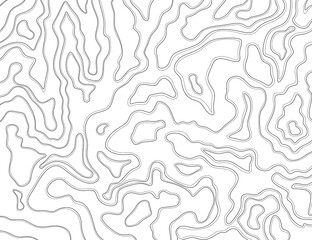 An abstract contour topographic pattern with smooth relief lines. Minimalistic background design for projects. Illustration with wavy lines on a transparent background.