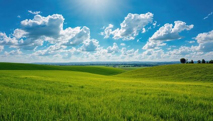 Fototapeta premium Beginning of the planting period under a cloudy blue sky