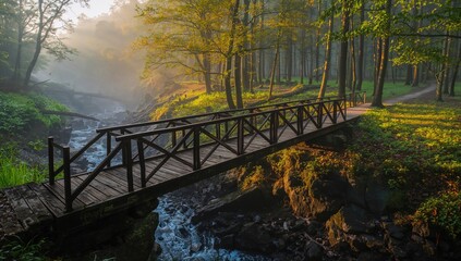 Ancient timber bridge spanning a gorge within a dense forest during a misty dawn, erosion risk