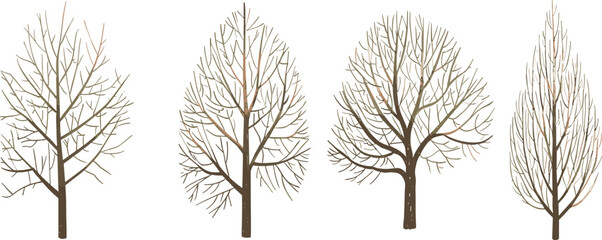 Leafless tree illustration set, stylized botanical vector, winter branching structures, seasonal nature clipart, landscape design elements, isolated on white