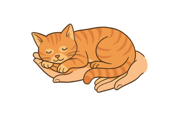 Cute sleeping orange tabby kitten curled up safely in the palm of human hands