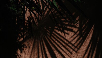 Silhouette of black tree branches and leaves against a brown backdrop, sunlight filtering through concrete walls