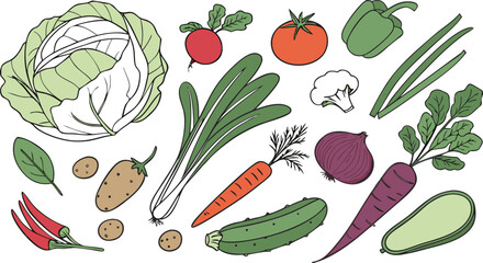 Watercolor painted collection of vegetables. Fresh colorful veggies background. A detailed watercolor illustration featuring a variety of fresh vegetables arranged separately on a clean white backgrou