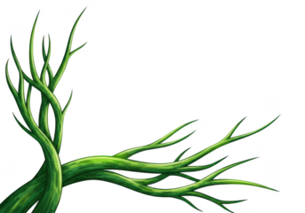 Green plant branches extending to the right. Lush green vine branches entwining and reaching out towards the right side isolated on transparent background
