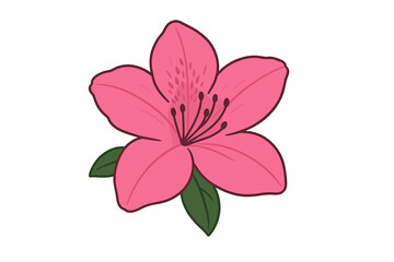 Vibrant pink azalea flower blossom with green leaves botanical element isolated