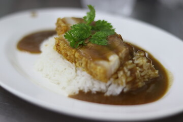 crispy pork with rice