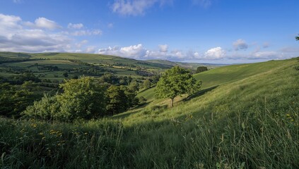 Naklejka premium Scenic Vista of the Elevated Summit, erosion risk