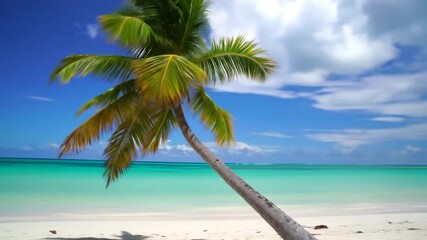 A palm tree bends towards an ocean scene. Clear blue sky with puffy white clouds, white sand and turquoise sea - Powered by Adobe